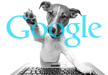 google-dog